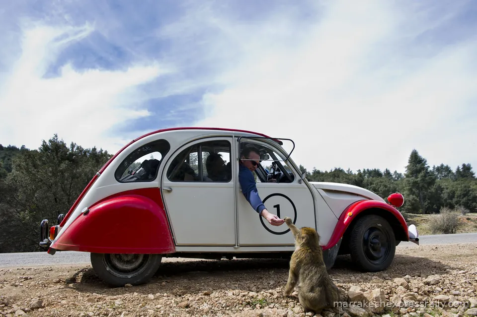 Marrakech Express Rally